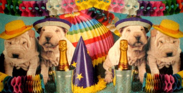046 Hunde - 3-lagig